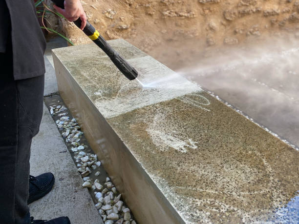 Best Deck Cleaning Services  in Staples, MN