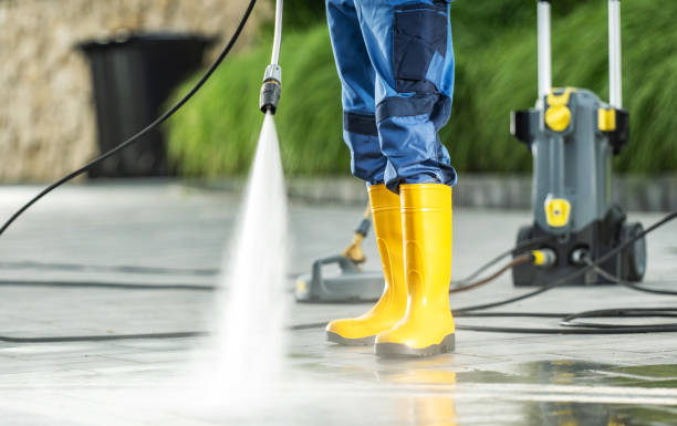 Best Pressure Washing Siding  in Staples, MN