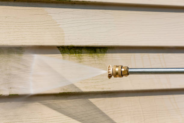 Best Roof Power Washing Services  in Staples, MN